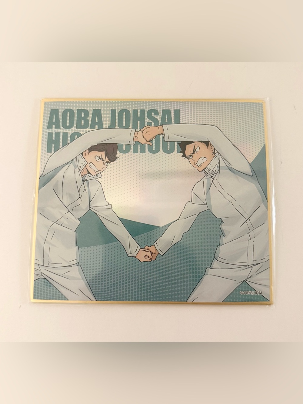 Anime official collectible haikyuu haikyu shikishi board oikawa iwaizumi